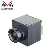 384x288 VOX Thermal Imaging Core Compact Low Power High Næmni hönnun fyrir drónaöryggi og iðnaðarskoðun